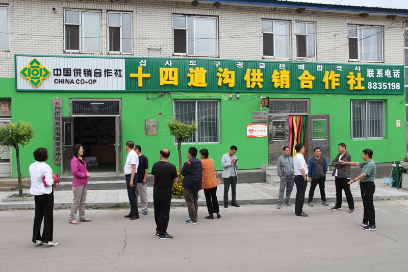 白山市供销合作社综合改革纪实